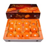 ��ǰ ������